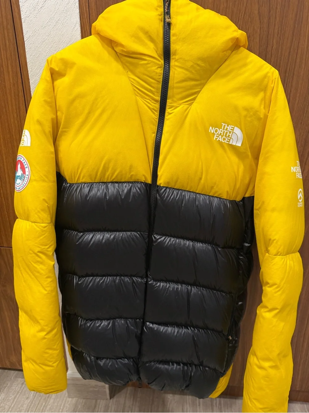 The North Face Antarctica 🇦🇶 L6 expedition jacket Limited Edition